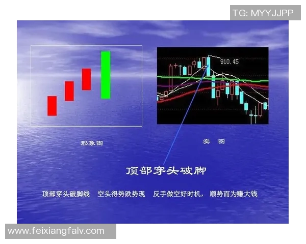深入分析上海篮球队盯防战术的奥秘与实战应用