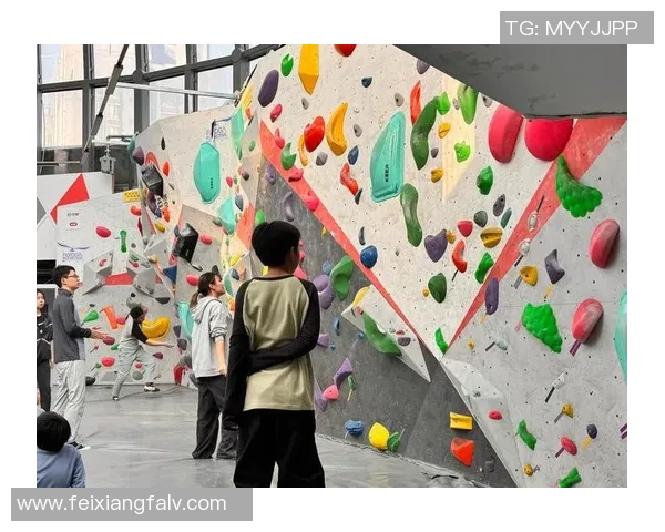 西安攀岩队勇夺最新攀岩耐力TOP10榜首荣耀